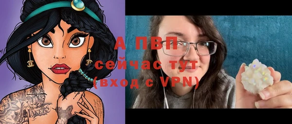 сатива Баксан
