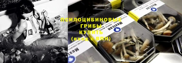 сатива Баксан