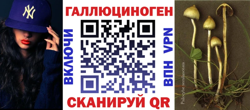 это телеграм Прохладный Псилоцибиновые грибы Magic Shrooms